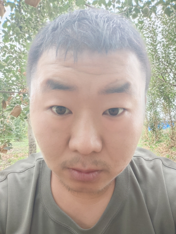 明天的第一张照片--漳州交友网