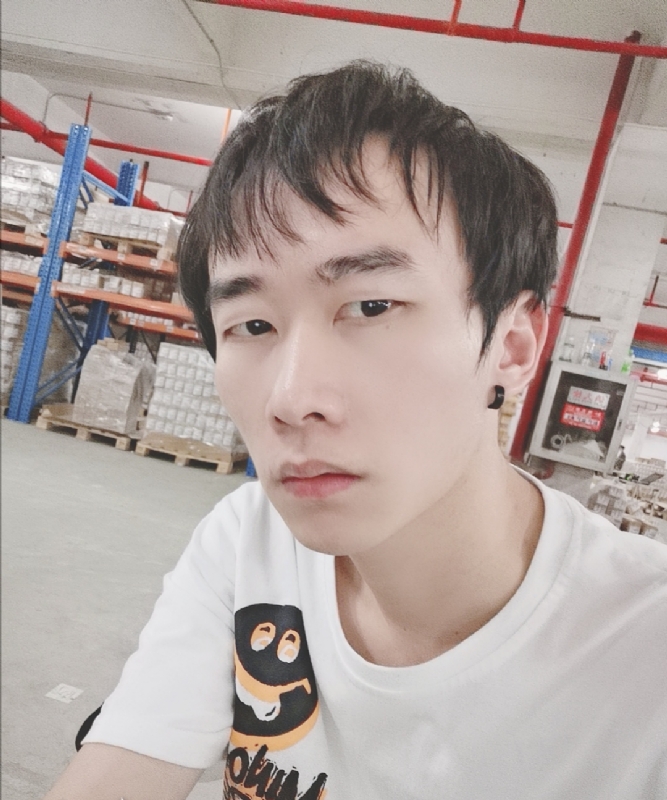 巷子里的猫的第一张照片--漳州交友网