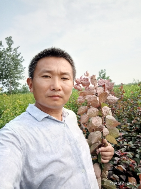 孩子爸的第一张照片--漳州交友网