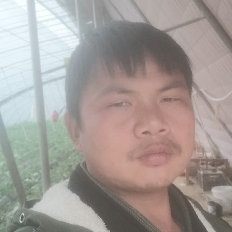 孤狼‘的第一张照片--漳州交友网