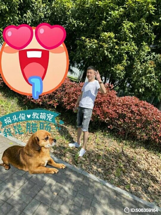 我若不坚强谁替我勇敢的第一张照片--漳州交友网