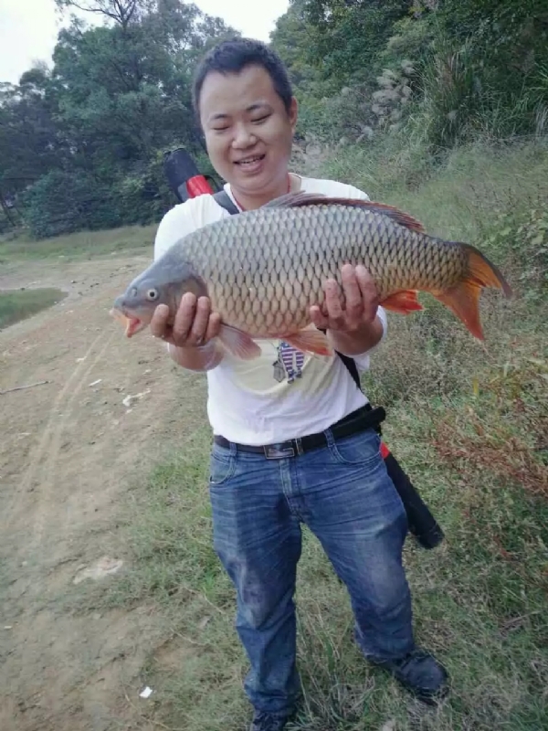 迷路的男人的第一张照片--漳州交友网